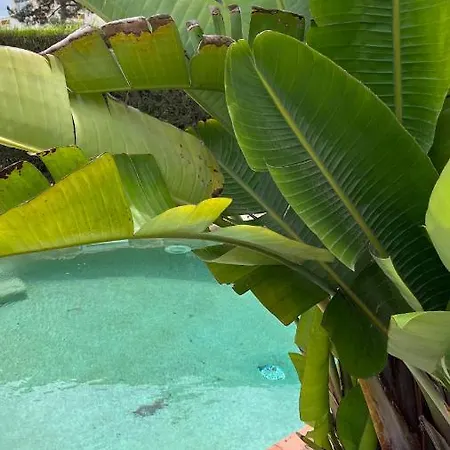 Holiday home Ocean, Surf, Golf Private With Pool Near Lagoon Casal do Narcizo